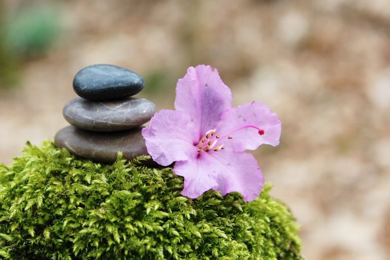 Quel est l’antistress idéal pour vous ?