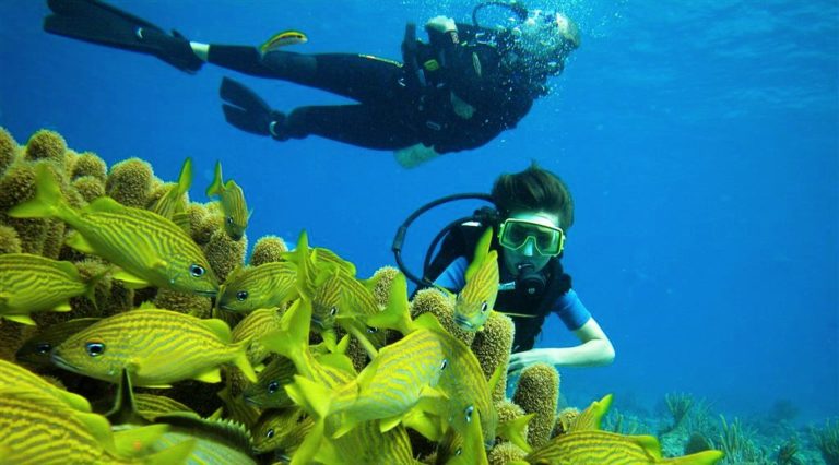 La plongée sous-marine : un anti-stress récemment prouvé