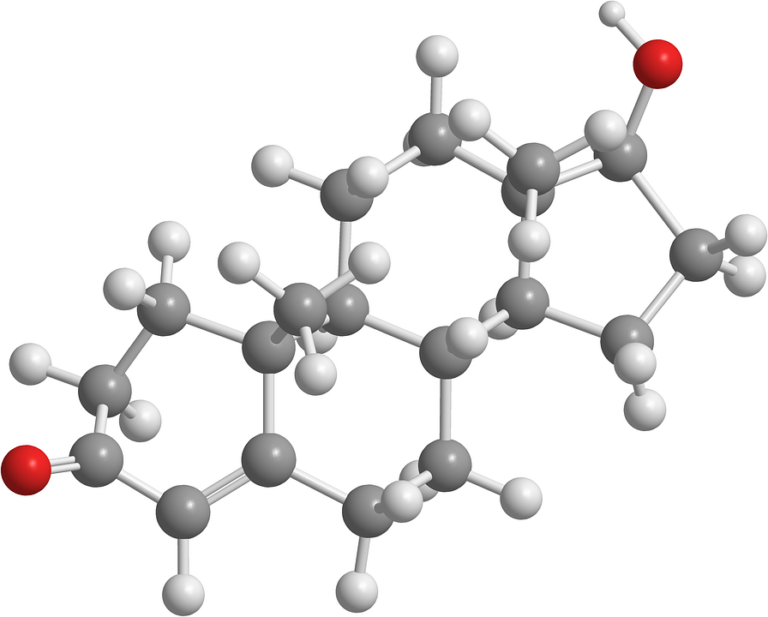 Niveau de testostérone – 4 façons de le stimuler !