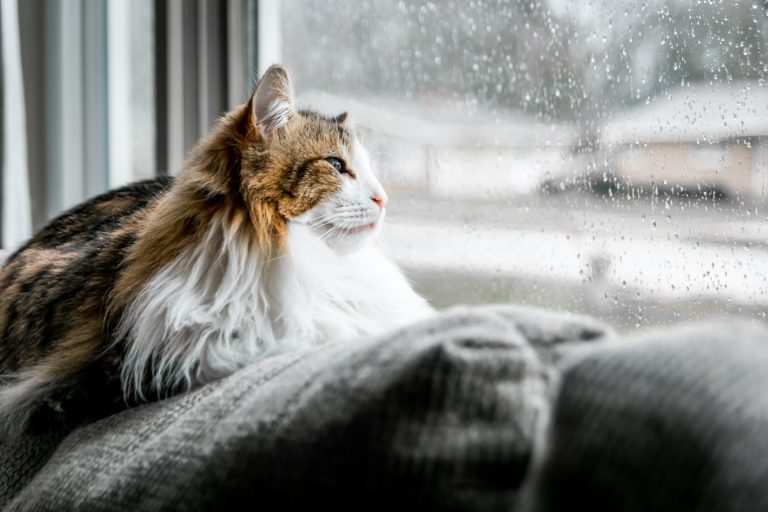 Les jours de pluie peuvent-ils vraiment vous décourager ?