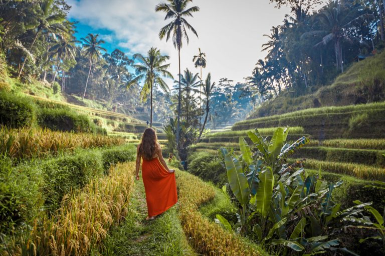 À quoi ressemble la conduite à Bali, en Indonésie ?