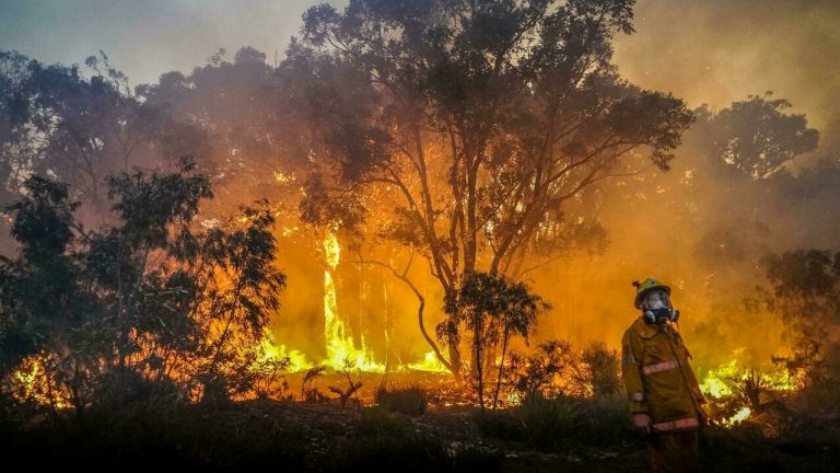 Le monde n’est pas prêt pour les méga-incendies qui devraient augmenter