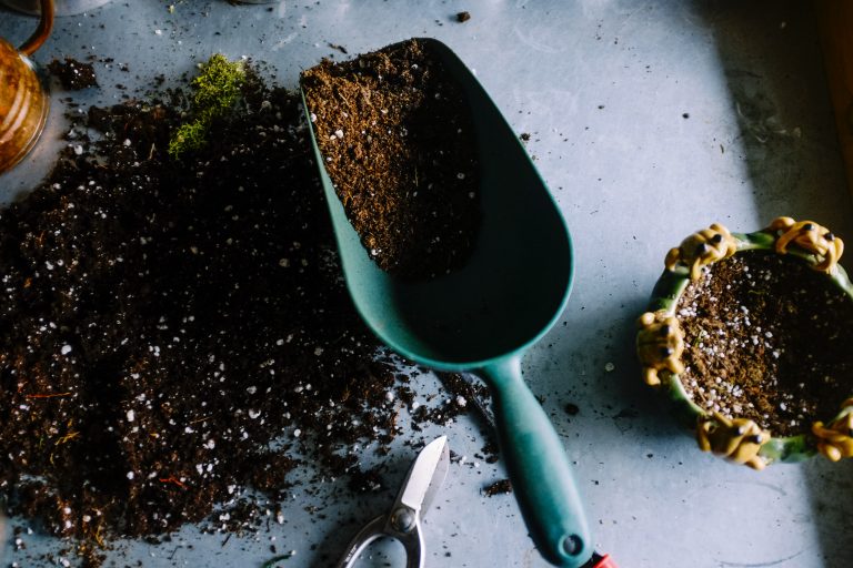 Compost : 5 règles importantes pour bien recycler ses déchets organiques