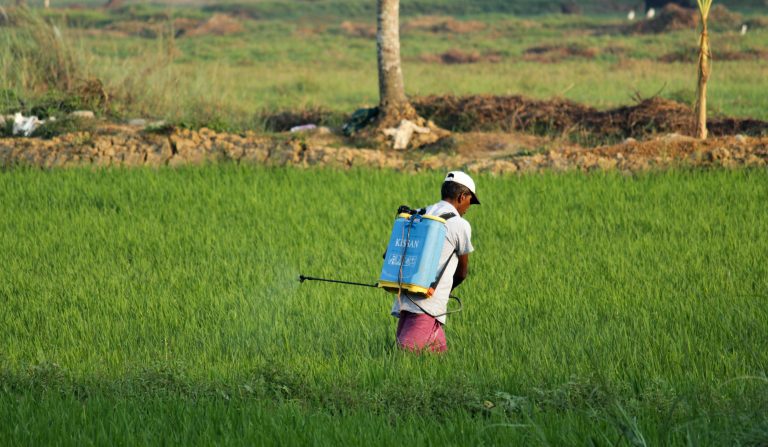 Pesticides : de réels impacts sur la santé