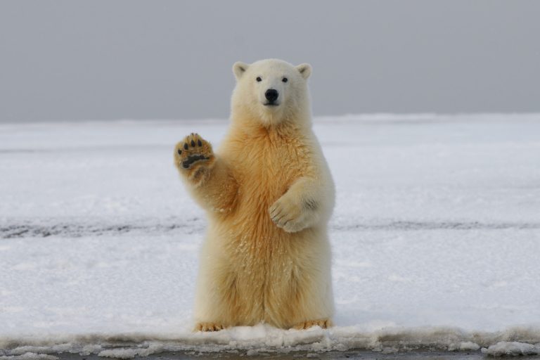 Changement climatique : un rapport du GIEC met en garde contre les impacts « irréversibles » du réchauffement climatique