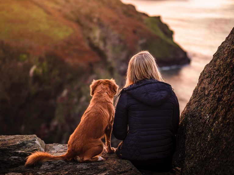 Les 7 signes qui montrent que mon chien ne va pas bien