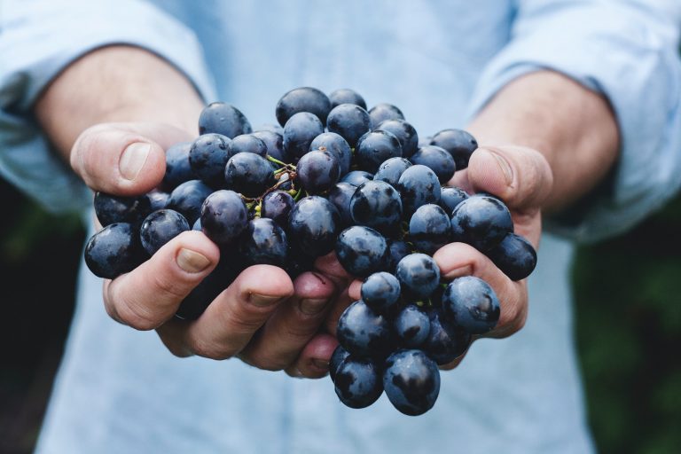 10 aliments à consommer en vieillissant