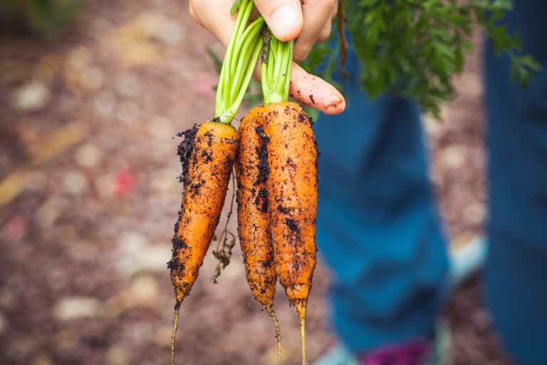 Manger bio est-il toujours bon pour l’environnement?