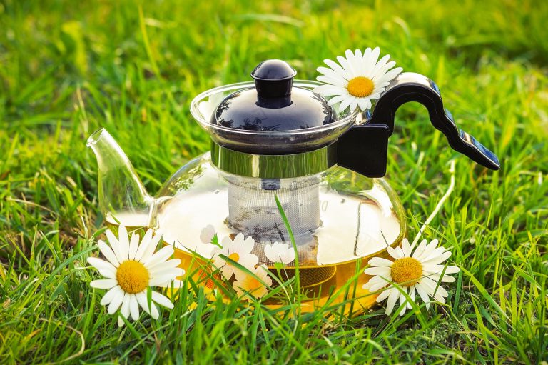 10 plantes pour lutter contre les insomnies