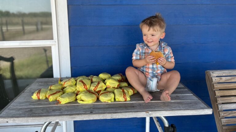 Un enfant de deux ans commande 31 cheeseburgers après que sa mère ait laissé le téléphone déverrouillé