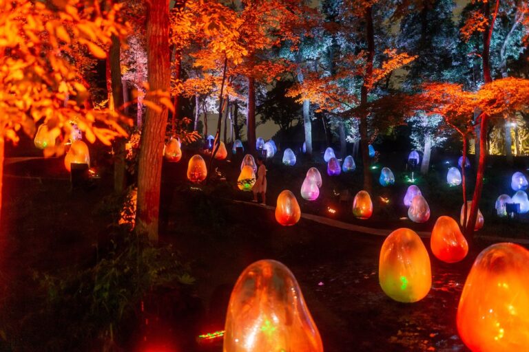 Une installation immersive prend le contrôle d’un jardin botanique japonais en le transformant en un paysage de rêve surréaliste