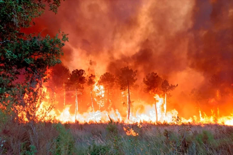 Incendies qui font rage en Europe : quoi, où et pourquoi ?