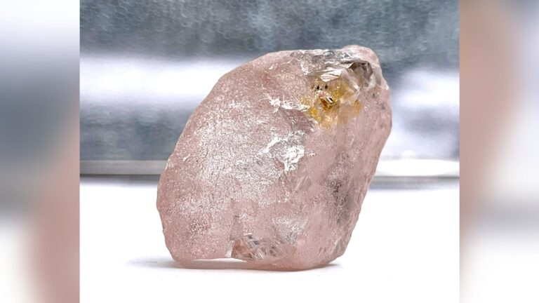À 170 carats, c&rsquo;est peut-être le plus gros diamant rose trouvé en 300 ans