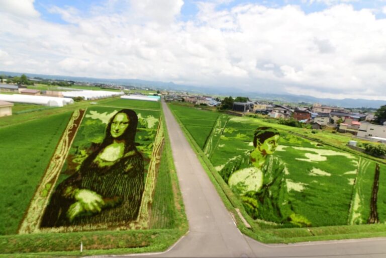 Un village japonais plante différents types de riz pour faire pousser un hommage géant à l’histoire de l’art