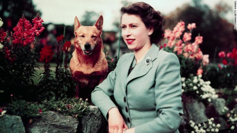 Les corgis de la reine vont vivre avec le duc et la duchesse d’York