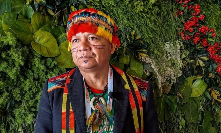 Un quart de l&rsquo;Amazonie « irréversiblement détruite »