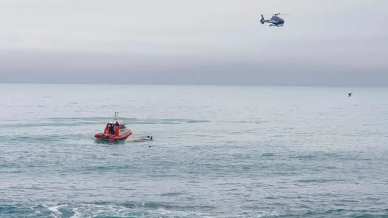 Un bateau au large de la Nouvelle-Zélande entre en collision avec une baleine, faisant 5 morts