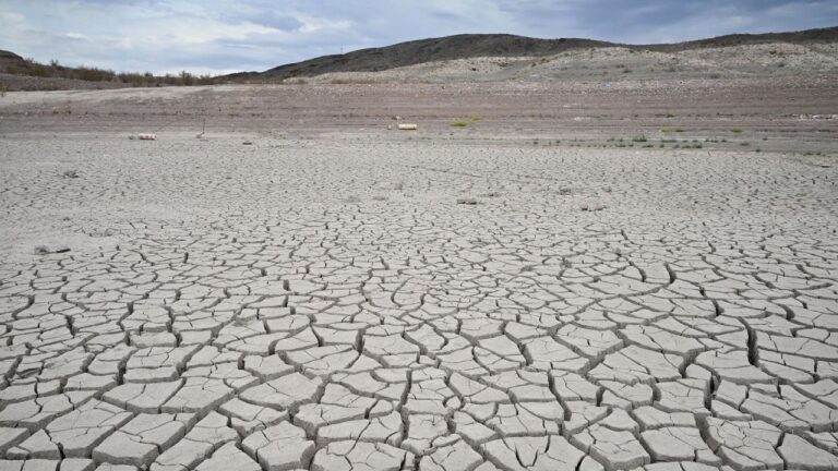 Le changement climatique a rendu la sécheresse estivale « au moins 20 fois plus probable »