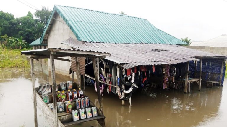 Plus de 600 morts dans les pires inondations au Nigeria en une décennie