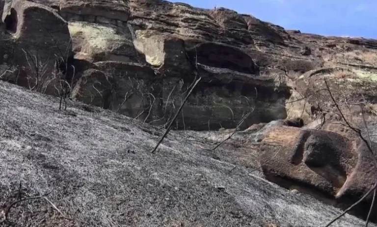 L’incendie qui a détruit 80 moai serait d’origine criminelle selon les autorités L’incendie qui a détruit 80 moai serait d’origine criminelle selon les autorités