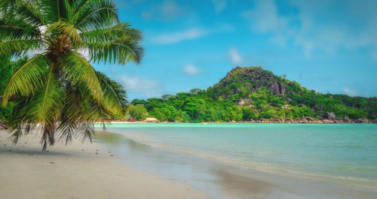 7 SUPERBE Eco Resorts et Eco Lodges aux Seychelles [Édition 2022]