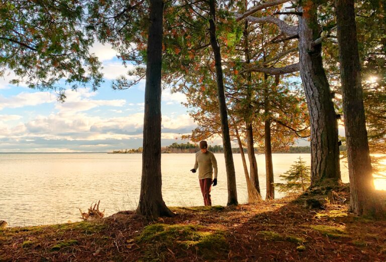 Comment la thérapie par la nature aide votre santé mentale