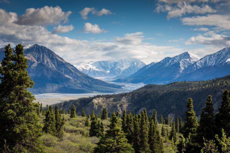 Comment la nature impacte-t-elle notre bien-être ?