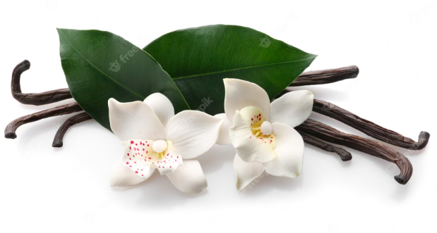 Les délices de la vanille : Plongez dans l’univers aromatique et bienfaiteur de cette épice exquise