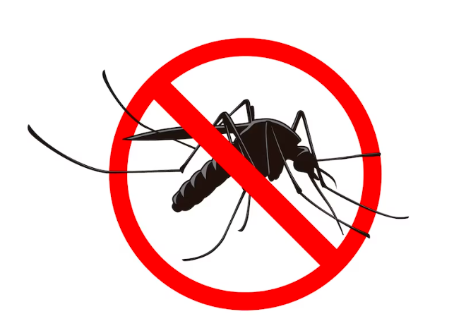 Comment se débarrasser des moustiques en été : Astuces efficaces pour une saison estivale sans piqûres