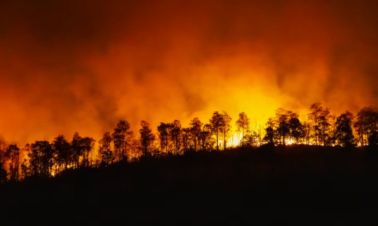 Lutte acharnée contre les feux de forêt en Grèce : Les pompiers en première ligne face à la canicule dévastatrice