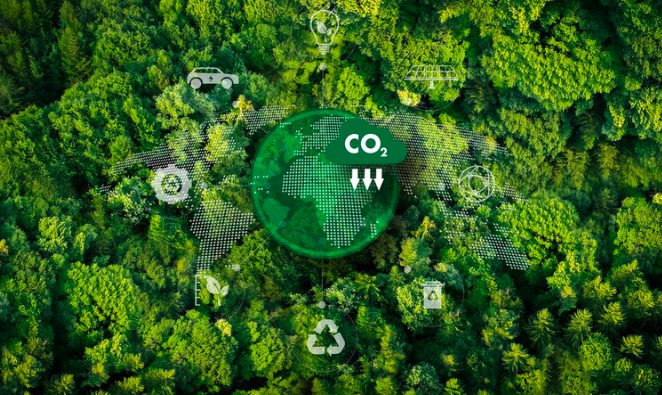 Pourquoi investir dans le crédit carbone ? Un levier économique et écologique pour l’avenir