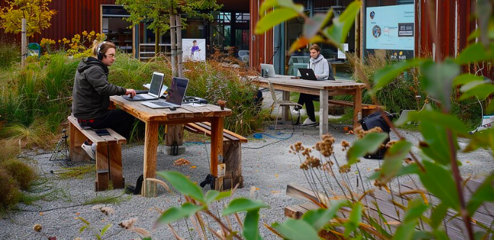 Travailler en off-grid : un nouveau mode de vie connecté à l’essentiel