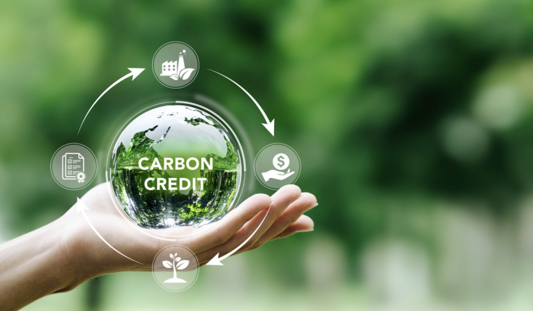 Pourquoi Investir dans le Crédit Carbone ?