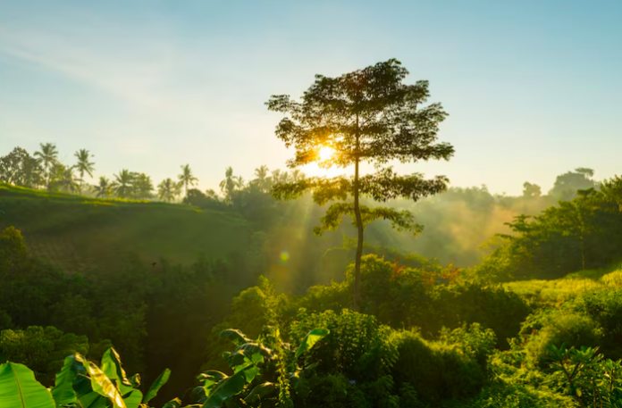 Screenshot 2025-12-03 at 12.01.36